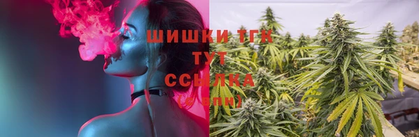 ГАЛЛЮЦИНОГЕННЫЕ ГРИБЫ Елабуга
