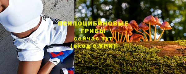 ешки Зерноград
