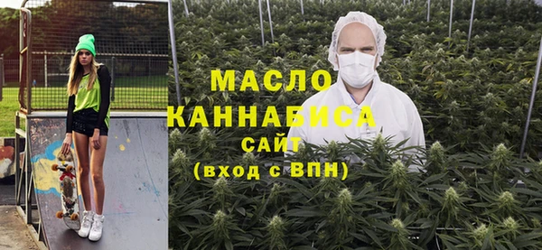 гидра Ельня