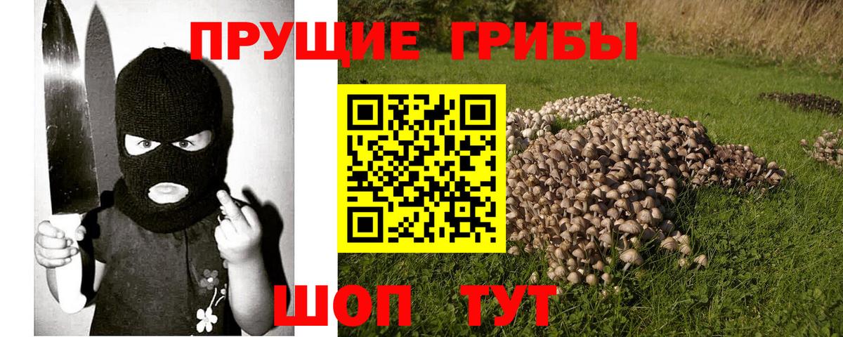 Галлюциногенные грибы Cubensis  Вход с VPN  Печора  Галлюциногенные грибы Psilocybine cubensis 